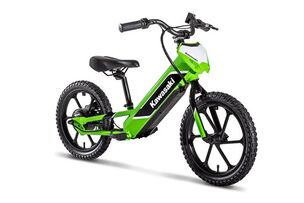 2024 KAWASAKI ELEKTRODE